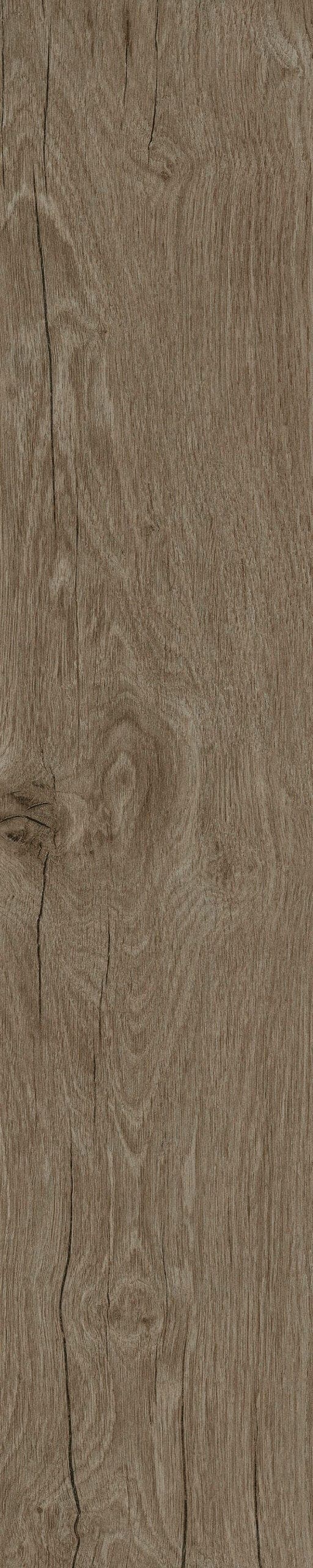 Native Tortora 20 × 100