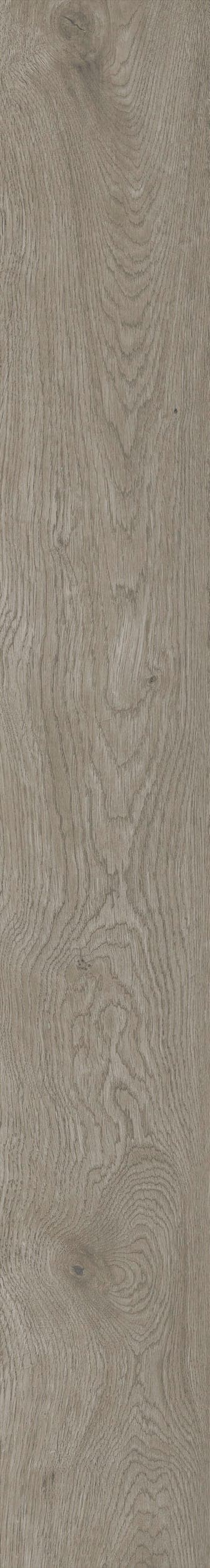 Boheme Tortora 20 × 150