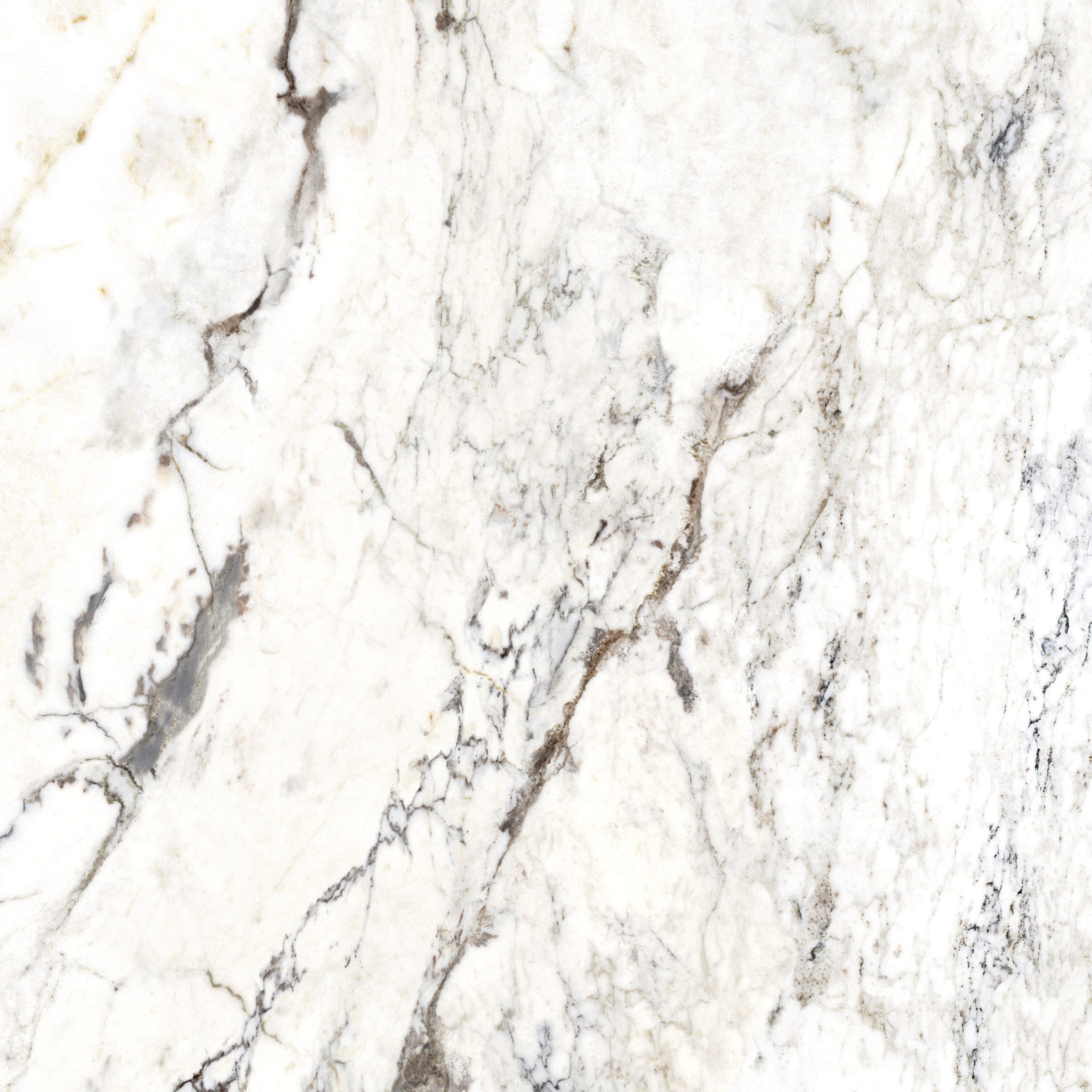 Dream Pure Breccia Capraia 120 × 120