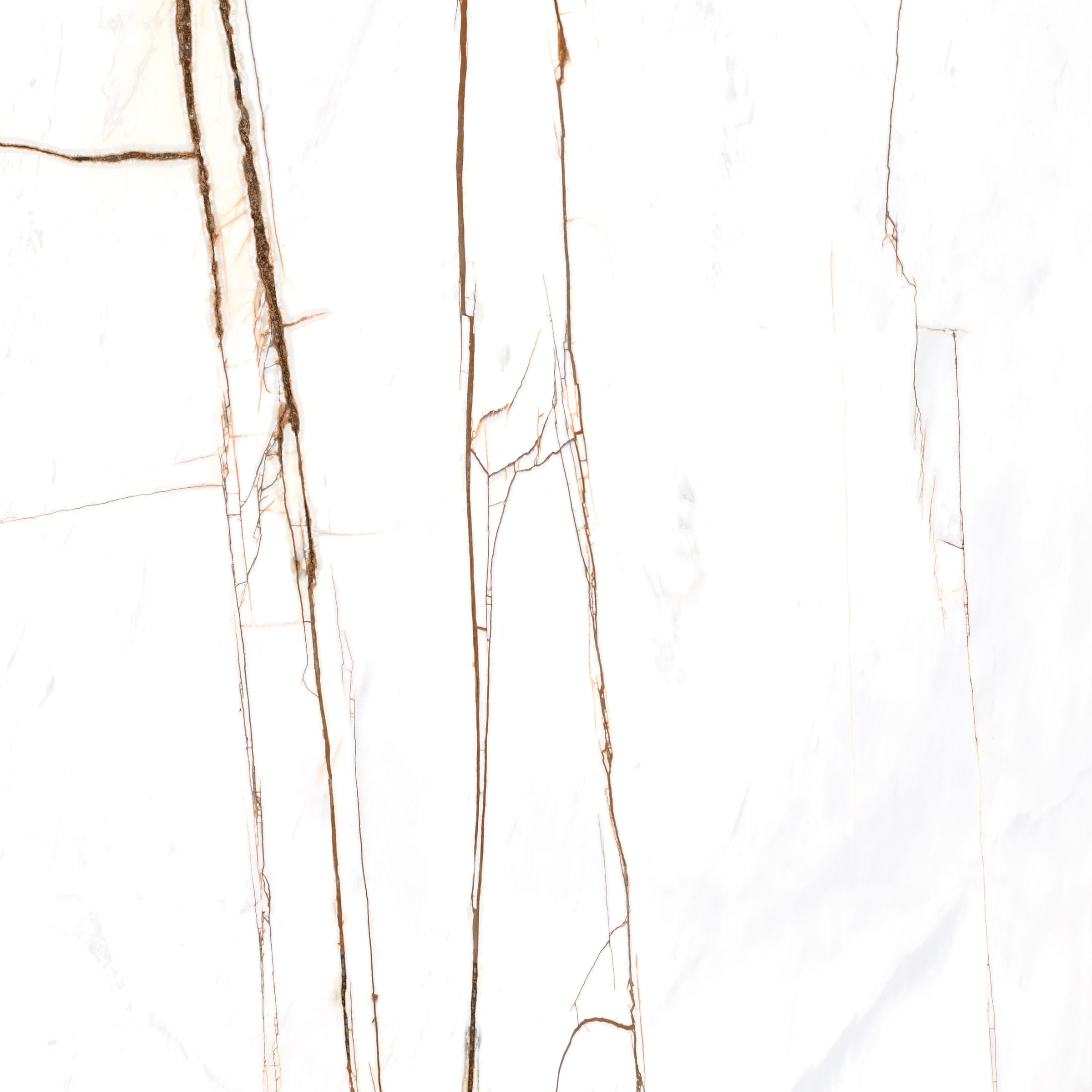 Archimarble 2 Sahara Blanc 120 × 120