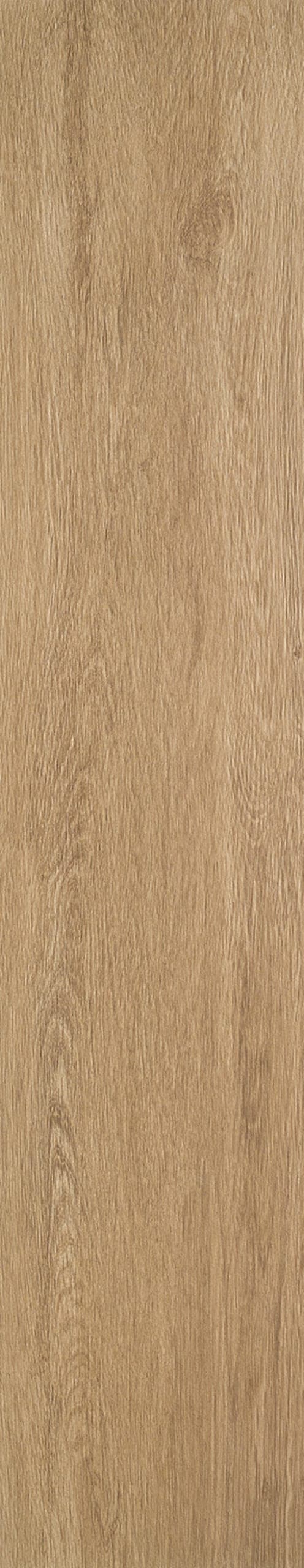 Timber Beige 20 × 100