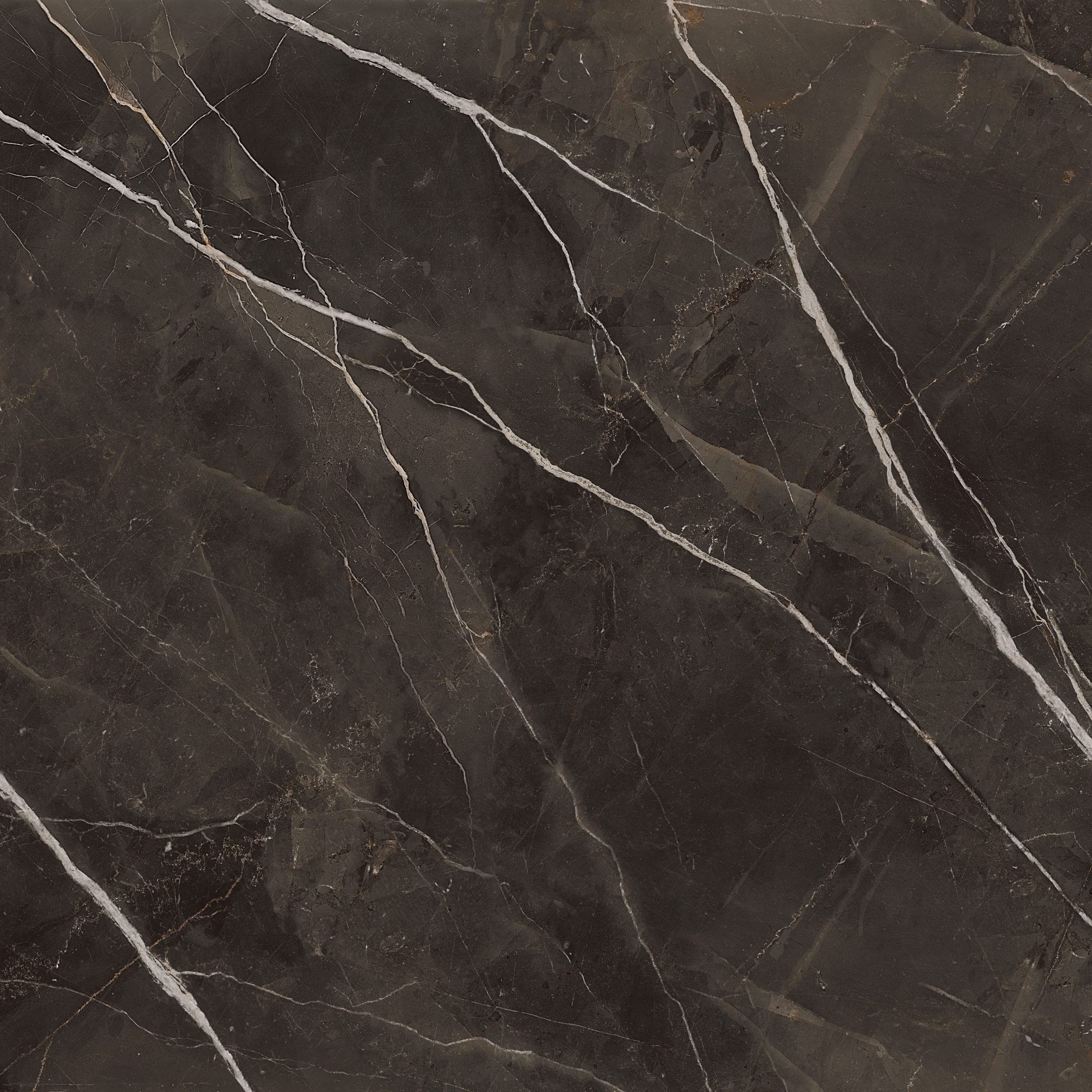 Archimarble 2 Calacatta Black 120 × 120